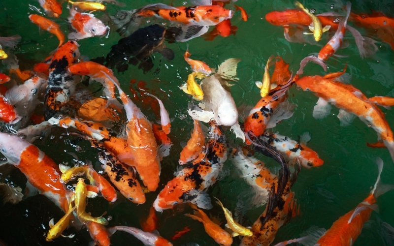 媒體榮程 - 新華社：產業鏈上抓升級 制造業企業“轉型記”